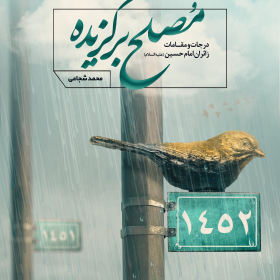 جلد کتاب مصلح برگزیده