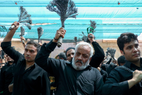 یازدهمین سوگواره عاشورایی عکس هیأت-محمد مهدی شاهدی-بخش اصلی-روایت هیأت(مجموعه عکس)