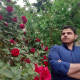 فرزاد آشفته 