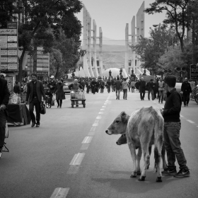 سوگواره چهارم-عکس 10-حسین الماسی-آیین های عزاداری
