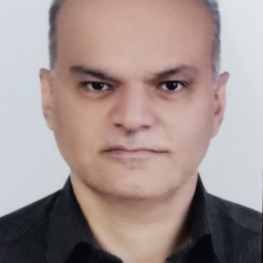 محمد  وحيدي