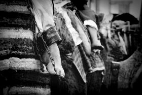 سوگواره چهارم-عکس 2-علی متقی-آیین های عزاداری