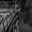 دهمین سوگواره عاشورایی عکس هیأت-علی اصغر  فیض اللهی-مجالس احیای امراهل‌البیت علیهم‌السلام مجموعه عکس-دوربین دیجیتال-همه اعضای یک پیکر همه سرباز یک سنگر (رعایت مسائل بهداشتی در هیأت)