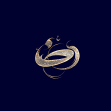 دومین فراخوان حروف‌نگاری هیأت-بهمن شمس-القاب و اسامی امام رضا(ع)