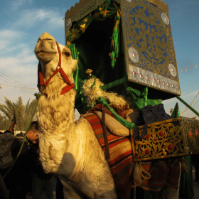 سوگواره سوم-عکس 25-جهانگیر سرزارع-پیاده روی اربعین از نجف تا کربلا