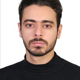 حامد  حیدری