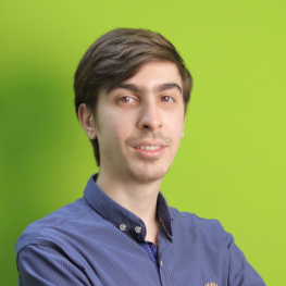 سید امیرحسین  میرسندسی