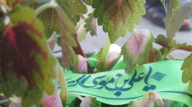 سوگواره دوم-عکس 3-امیر حسین ودیعی-جلسه هیأت فضای بیرونی 