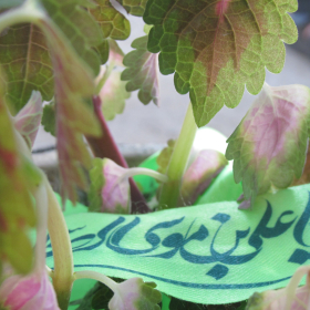 سوگواره دوم-عکس 3-امیر حسین ودیعی-جلسه هیأت فضای بیرونی 