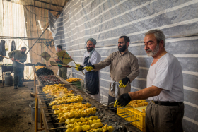 دهمین سوگواره عاشورایی عکس هیأت-مجید حجتی-مجالس احیای امراهل‌البیت علیهم‌السلام تک عکس-دوربین دیجیتال