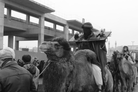 سوگواره دوم-عکس 9-علیرضا قربان زاده سوار-جلسه هیأت فضای داخلی