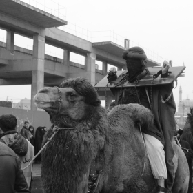 سوگواره دوم-عکس 9-علیرضا قربان زاده سوار-جلسه هیأت فضای داخلی