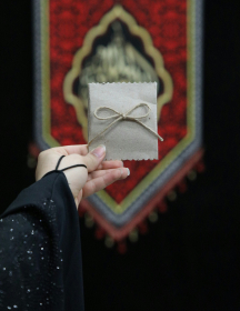 دهمین سوگواره عاشورایی عکس هیأت-Zahra Dashti-مجالس احیای امراهل‌البیت علیهم‌السلام مجموعه عکس-دوربین دیجیتال-همه اعضای یک پیکر همه سرباز یک سنگر (رعایت مسائل بهداشتی در هیأت)