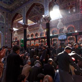 سوگواره سوم-عکس 62-مهدی تیرانی-پیاده روی اربعین از نجف تا کربلا