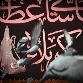 سوگواره چهارم-عکس 44-محمد  آهنگر-پیاده روی اربعین از نجف تا کربلا