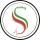 سید سینا فاضلی