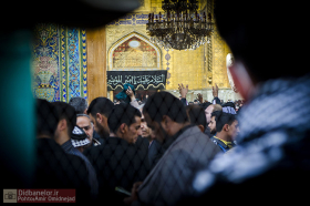 سوگواره سوم-عکس 46-امیر امیدنژاد-پیاده روی اربعین از نجف تا کربلا