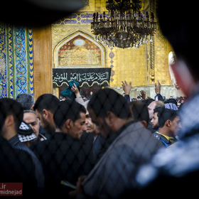 سوگواره سوم-عکس 46-امیر امیدنژاد-پیاده روی اربعین از نجف تا کربلا