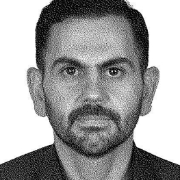 محمدرضا  حافظی