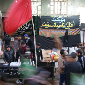 سوگواره دوم-عکس 55-محسن مرادی-پیاده روی اربعین از نجف تا کربلا