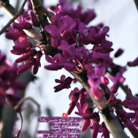 نهمین سوگواره عاشورایی پوستر هیأت-علیرضا تمجیدی فرح بخش-بخش اصلی -پوستر اعلان هیأت