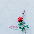 فاطمه منتظر