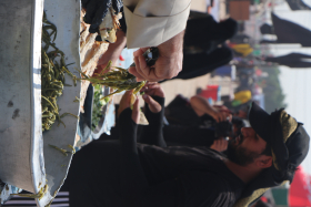 یازدهمین سوگواره عاشورایی عکس هیأت-محمدمهدی  انتظار-بخش ویژه-پیاده‌روی اربعین حسینی(مجموعه عکس)