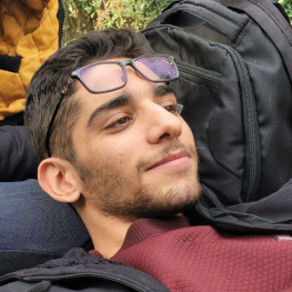 امیرحسین  صفری