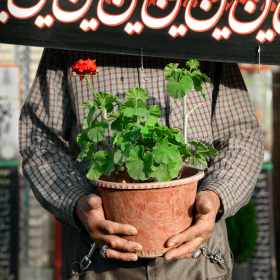 فراخوان ششمین سوگواره عاشورایی عکس هیأت-مهدی طاهری-بخش اصلی -جلسه هیأت