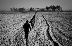 سوگواره سوم-عکس 8-سیده نیلوفر محمودیان-آیین های عزاداری