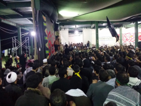 سوگواره سوم-عکس 19-محمد حسین کلهر-پیاده روی اربعین از نجف تا کربلا