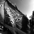سوگواره چهارم-عکس 35-رسول مختاری-پیاده روی اربعین از نجف تا کربلا