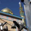 سوگواره پنجم-عکس 8-امیر حسین رنجبر-جلسه هیأت
