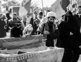 سوگواره چهارم-عکس 6-توحید نورالهی-پیاده روی اربعین از نجف تا کربلا