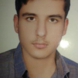 محسن  نخعی