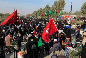 سوگواره سوم-عکس 146-مهدی تیرانی-پیاده روی اربعین از نجف تا کربلا
