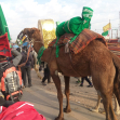 سوگواره چهارم-عکس 9-هادی ابوطالبی-پیاده روی اربعین از نجف تا کربلا