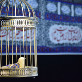 فراخوان ششمین سوگواره عاشورایی عکس هیأت-مهدی کیانی-بخش اصلی -جلسه هیأت
