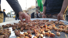 سوگواره پنجم-عکس 28-مسلم محمدی-پیاده روی اربعین از نجف تا کربلا