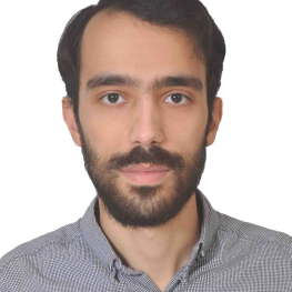 حمیدرضا  یاحسین گو