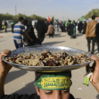 سوگواره سوم-عکس 28-علی دهقان-پیاده روی اربعین از نجف تا کربلا
