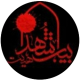 سید محمود  هاشمیان 