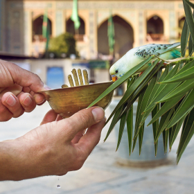 نهمین سوگواره عاشورایی عکس هیأت-عرفان سامان فر-مجالس احیای امر اهل‌البیت علیهم‌السلام