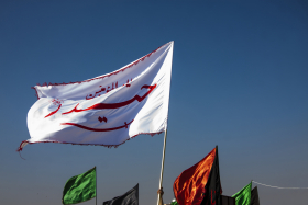 سوگواره دوم-عکس 11-علی محمد غلامی-پیاده روی اربعین از نجف تا کربلا
