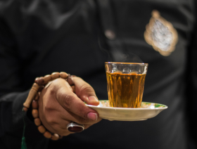 سوگواره پنجم-عکس 22-مهدی عاقلی-پیاده روی اربعین از نجف تا کربلا