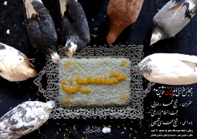 دهمین سوگواره عاشورایی پوستر هیأت-عنایت اله مکاریان-بخش اصلی پوستر اعلان هیأت-پوستر اعلان محرم و صفر