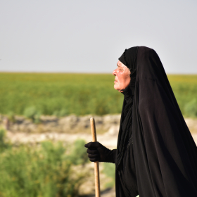 یازدهمین سوگواره عاشورایی عکس هیأت-محمدرضا ایزدی-بخش ویژه-پیاده‌روی اربعین حسینی(تک عکس)