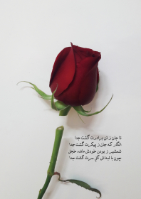 دهمین سوگواره عاشورایی پوستر هیأت-آرزو صادقی نجف آبادی-بخش جنبی-پوستر شیعی