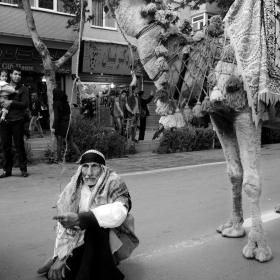 سوگواره دوم-عکس 7-زهرا محمودیان اصفهانی-جلسه هیأت فضای داخلی