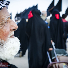 سوگواره سوم-عکس 55-امیر امیدنژاد-پیاده روی اربعین از نجف تا کربلا
